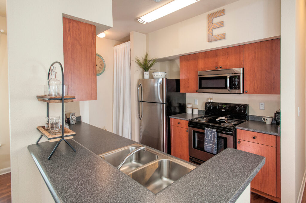 Apartment Kitchen