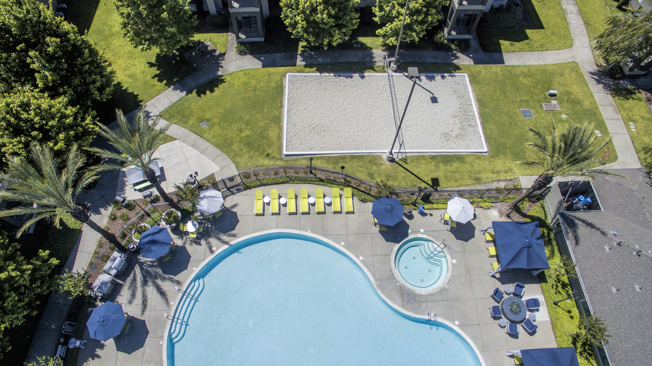 Element Pool Top View